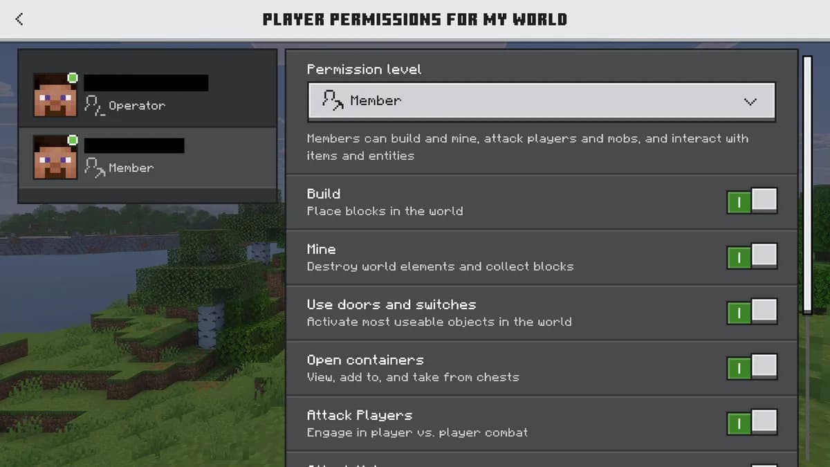 The permission toggles for one player in Bedrock Edition: build, mine, use doors and switches, open containers, attack players