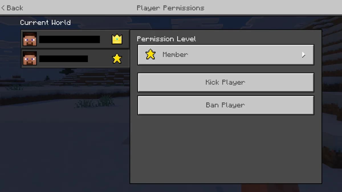 The Player permissions screen of a Realm with a permission level, a Kick player and a Ban player button