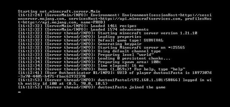 A terminal window in which the official Minecraft server jar starts up and reports Done