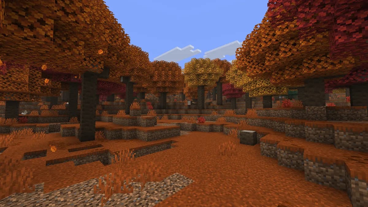 The dappled forest biome from Minecraft 26.3, with red, orange and yellow poplar trees over coarse ground