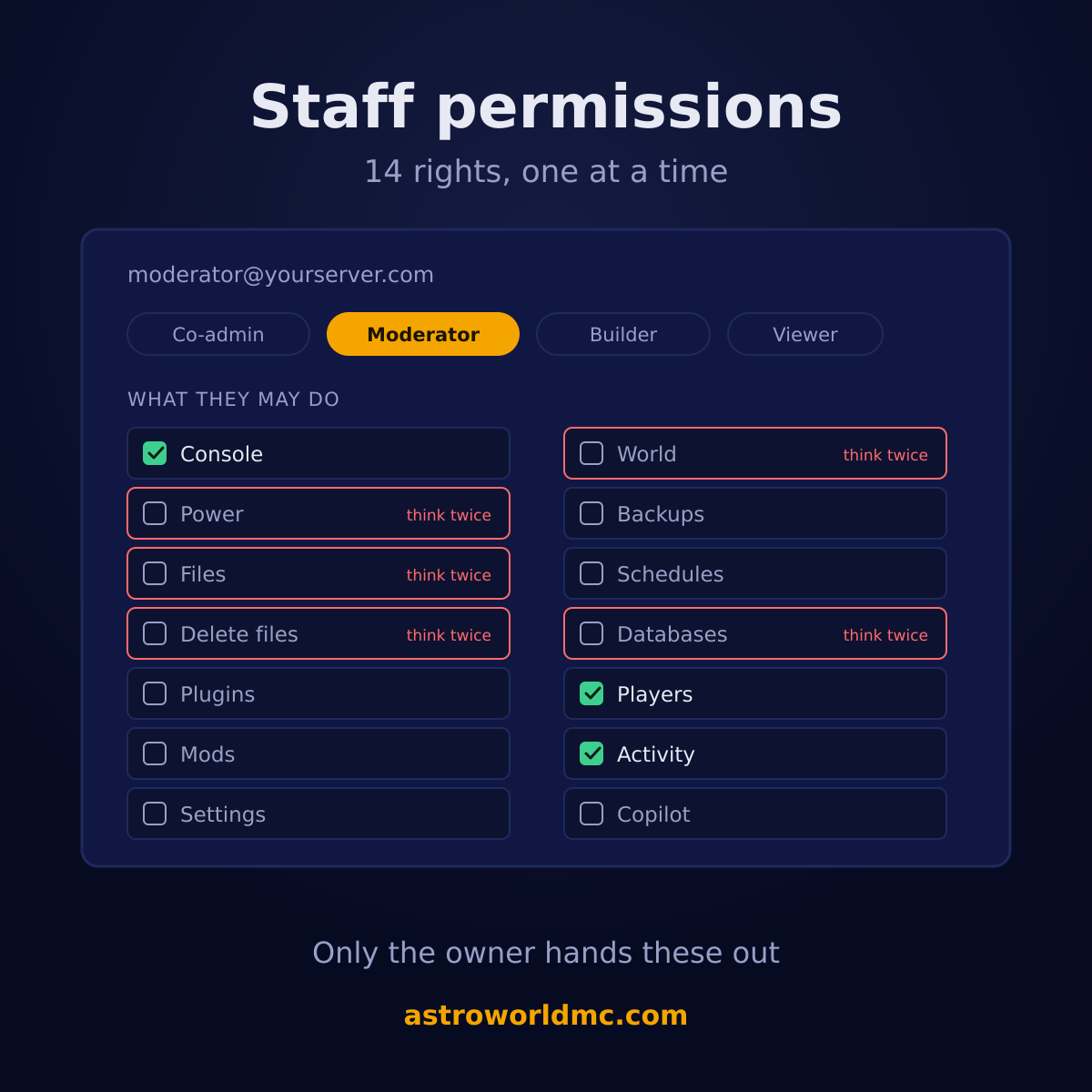 The staff screen of the Astroworld Minecraft server panel, showing a person's email address and a checkbox for each of the 14 rights
